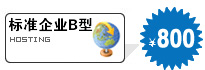 标准企业B型